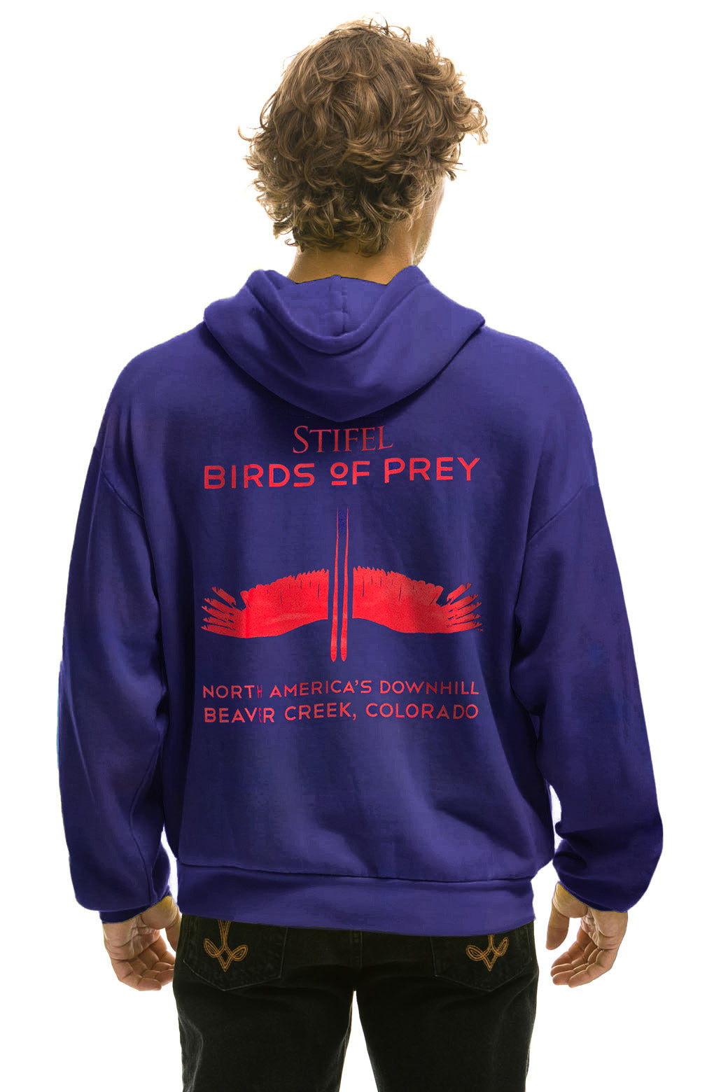 BIRDS OF PREY 2024 PULLOVER HOODIE RELAXED - PURPLE
