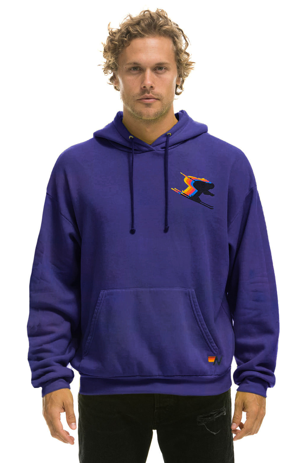 BIRDS OF PREY 2024 PULLOVER HOODIE RELAXED - PURPLE