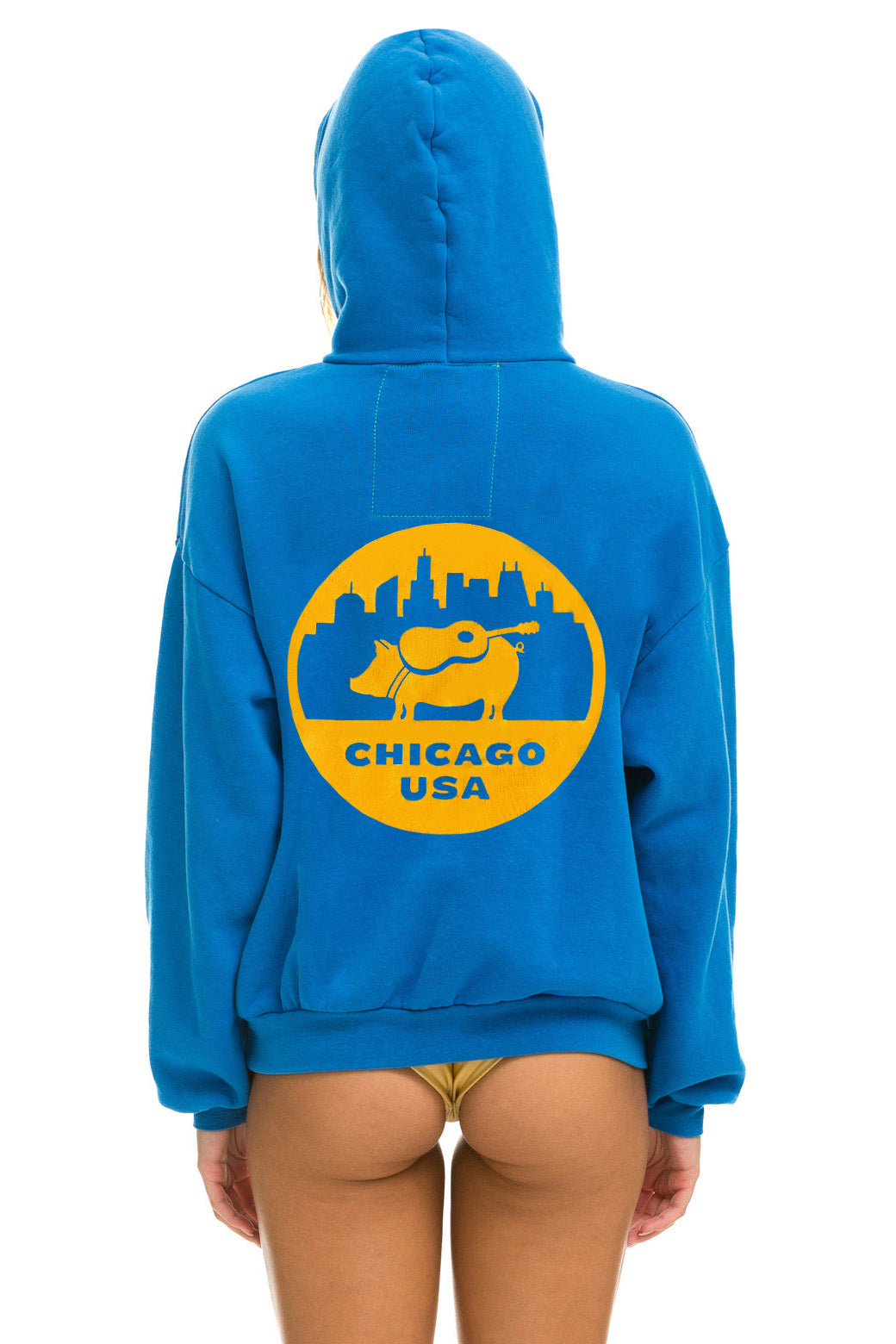 WINDY CITY SMOKEOUT 2025 PULLOVER HOODIE RELAXED - OCEAN