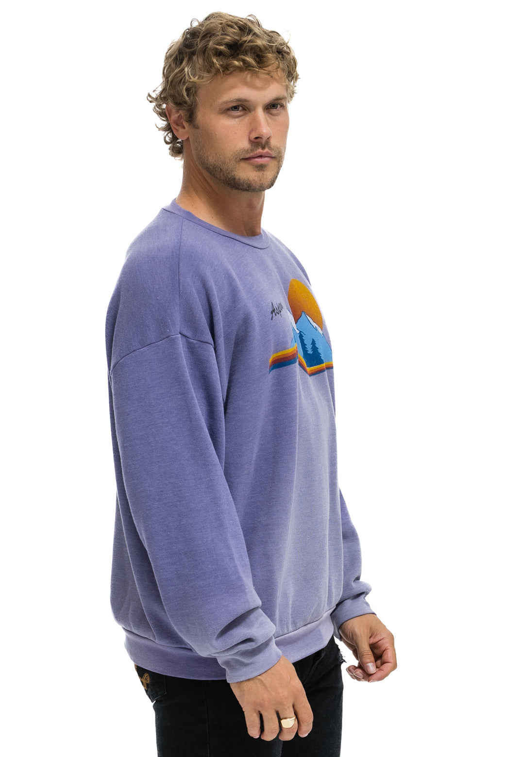 ASPEN MOUNTAIN  RELAXED CREW SWEATSHIRT - FADED GRAPE